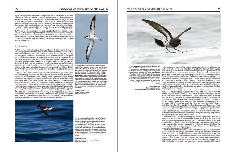 Special Volume: New Species and Global Index sample page